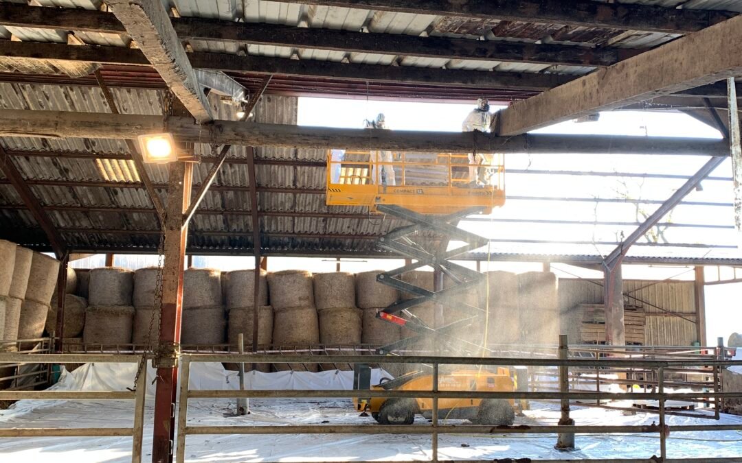 Retrait de plaques fibrociment sous toiture – GAEC Boverger des Usses – Cercier (74350)